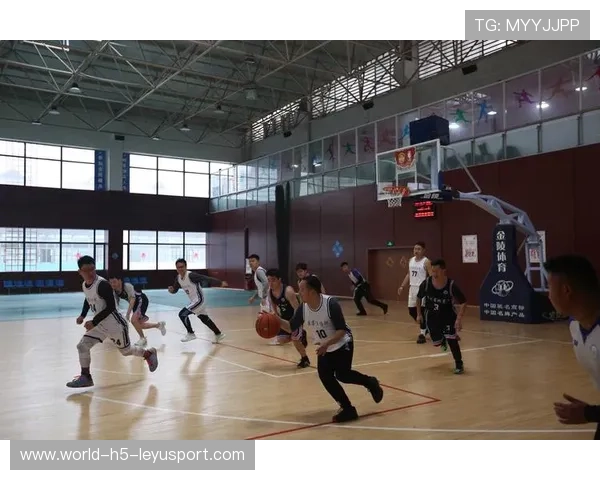 篮球在中国社会治理体系中的潜在功能探索，篮球运动的社会化功能